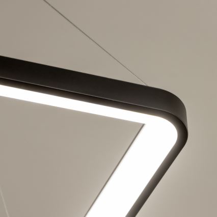 Brilagi - Suspension LED dimmable sur câble FALCON SLIM LED/50W/230V 3000-6500K 50x50 cm noire + télécommande