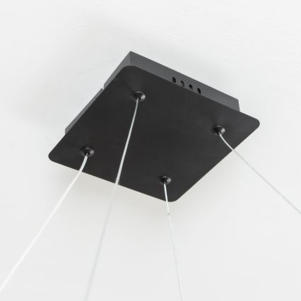 Brilagi - Suspension LED dimmable sur câble FALCON SLIM LED/50W/230V 3000-6500K 50x50 cm noire + télécommande