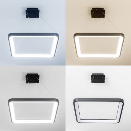 Brilagi - Suspension LED dimmable sur câble FALCON SLIM LED/50W/230V 3000-6500K 50x50 cm noire + télécommande