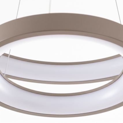 BRILAGI - Lustre LED dimmable sur câble FALCON SLIM LED/68W/230V 3000-6500K Ø 50 cm beige + télécommande