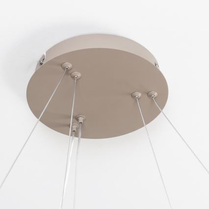 BRILAGI - Lustre LED dimmable sur câble FALCON SLIM LED/68W/230V 3000-6500K Ø 50 cm beige + télécommande
