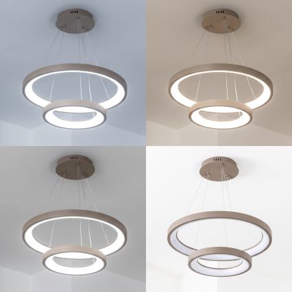 BRILAGI - Lustre LED dimmable sur câble FALCON SLIM LED/68W/230V 3000-6500K Ø 50 cm beige + télécommande