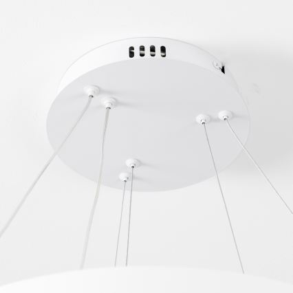 Brilagi - Suspension LED dimmable sur câble FALCON SLIM LED/68W/230V 3000-6500K Ø 50 cm blanc + télécommande