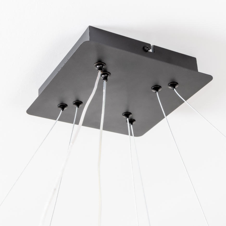 Brilagi - Lustre LED dimmable sur câble FALCON SLIM LED/78W/230V 3000-6500K 50x50 cm noir + télécommande