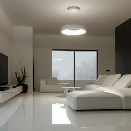 Brilagi - Suspension LED dimmable sur câble FALCON LED/40W/230V 3000-6500K Ø 45 cm blanche + télécommande