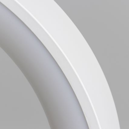 Brilagi - Suspension LED dimmable sur câble FALCON LED/40W/230V 3000-6500K Ø 45 cm blanche + télécommande