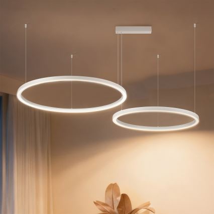 Brilagi - Suspension LED dimmable sur câble PORTOFINO LED/98W/230V 3000-6000K blanche + télécommande