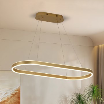 Brilagi - Suspension LED PONDIE sur câble, 44 W, 230 V, 80 x 30 cm, doré
