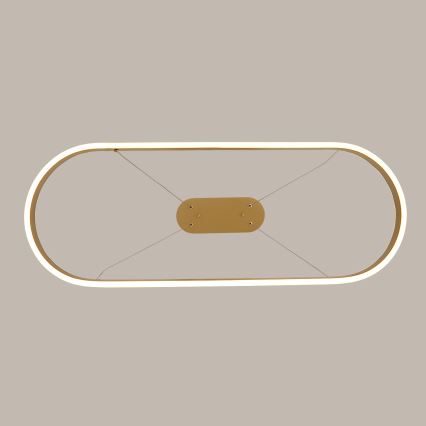 Brilagi - Suspension LED PONDIE sur câble, 44 W, 230 V, 80 x 30 cm, doré