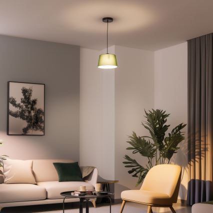 Brilagi - Suspension LED sur câble CERIA 1xE27/40W/230V Ø 25 cm vert