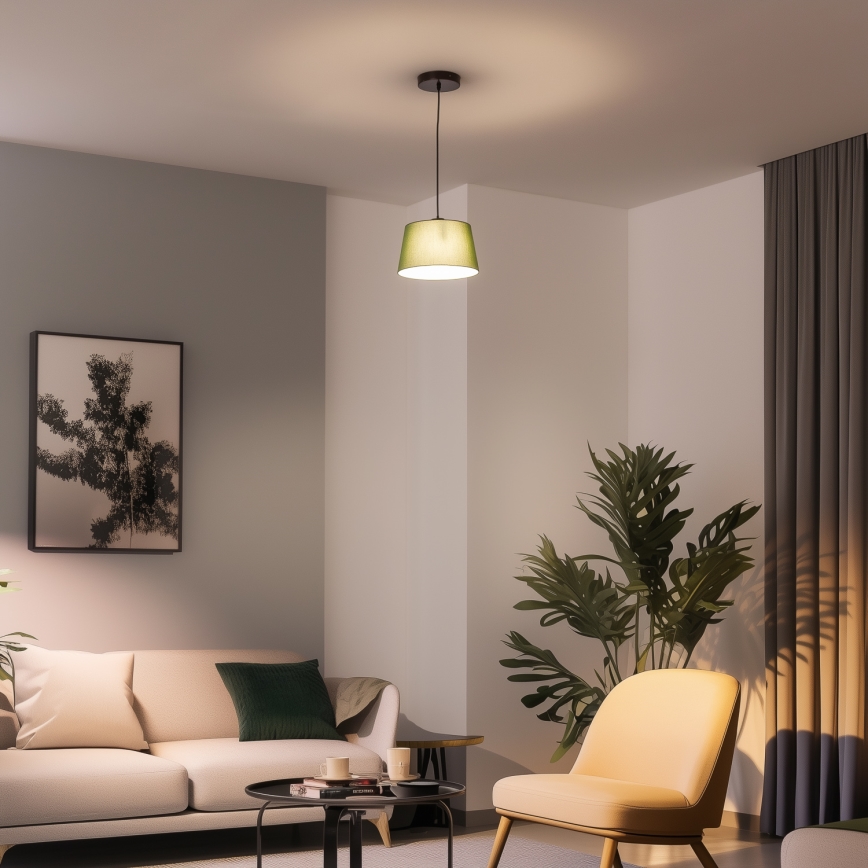 Brilagi - Suspension LED sur câble CERIA 1xE27/40W/230V Ø 25 cm vert