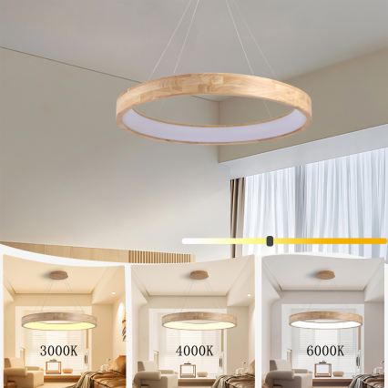 Brilagi - suspension LED sur câble FALCON WOOD LED/60W/230V 3000/4000/6000K Ø 80 cm bois