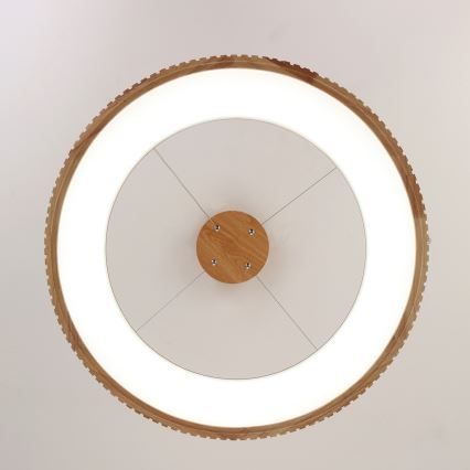 Brilagi - Suspension LED sur câble FALCON WOOD MODERN LED/40W/230V 3000/4000/6000K Ø 60 cm en bois