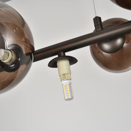 Brilagi - Suspension LED sur câble MILLA 10xG9/3W/230V marron/marron fumé