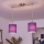 Brilagi - Suspension LED sur câble NUBILA 2xE27/60W/230V violet