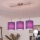 Brilagi - Suspension LED sur câble NUBILA 3xE27/60W/230V violette