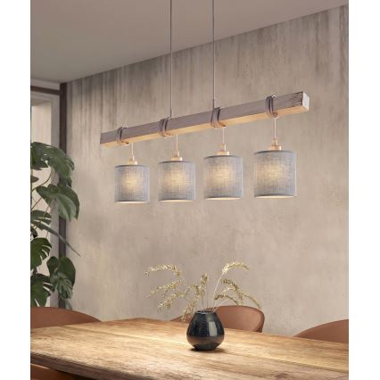 Brilagi - Suspension LED sur câble NUBILA 4xE27/60W/230V gris