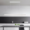 Brilagi - Suspension LED sur câble PAXIS LED/30W/230V 120 cm blanche