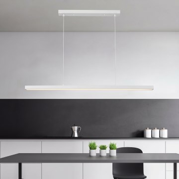 Brilagi - Suspension LED sur câble PPAXIS LED/30W/230V 120 cm blanche