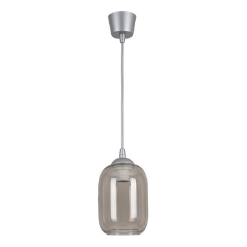 Brilagi - Suspension LED sur câble RETRO GLASS 1xE27/60W/230V Ø 14 cm argenté / gris fumé