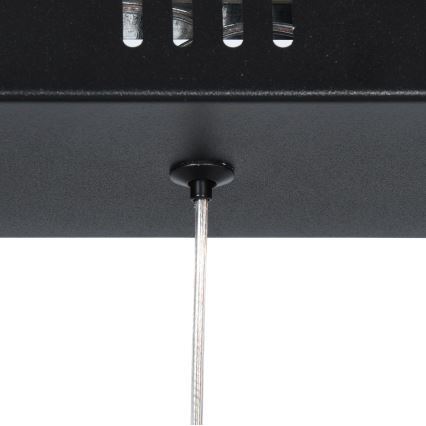 Brilagi - Suspension LED sur câble VERANO 3xLED/15W/230V