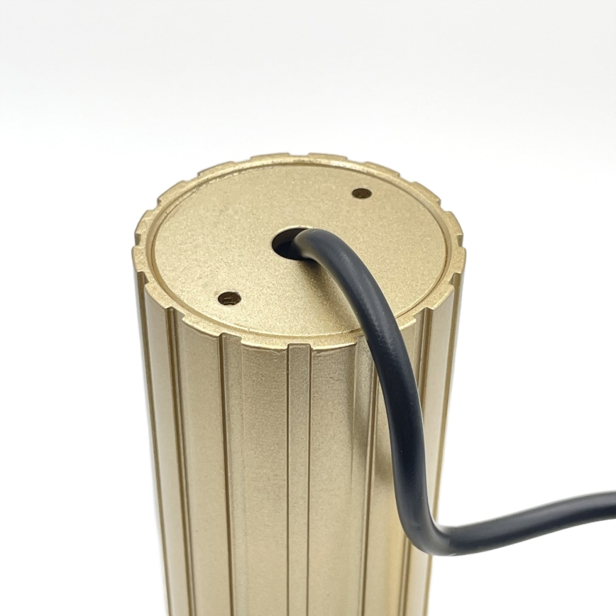 Brilagi - Suspension sur câble CRISPINA 1xGU10/10W/230V, finition dorée