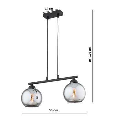 Brilagi - Suspension sur câble DIOR 2xE27/60W/230V noir/gris fumé