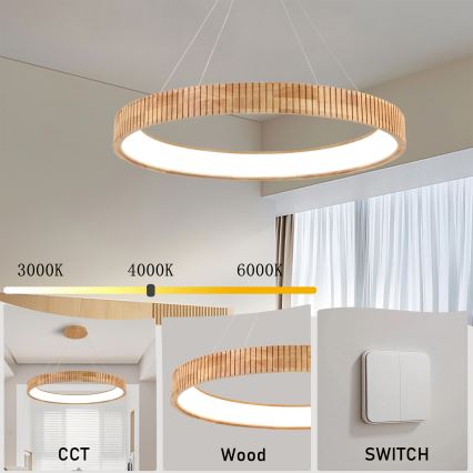 Brilagi - Suspension LED sur câble FALCON WOOD MODERN LED/60W/230V 3000/4000/6000K Ø 80 cm bois