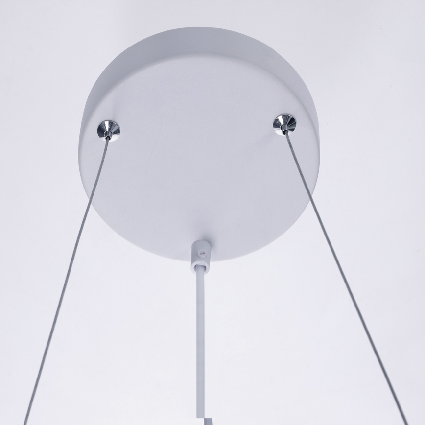 BRILAGI - Suspension sur câble SELE 4xGU10/30W/230V blanche