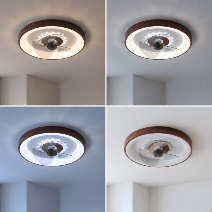 Brilagi - Ventilateur de plafond LED dimmable, 34 W, 230 V, Ø 46 cm, brun + télécommande