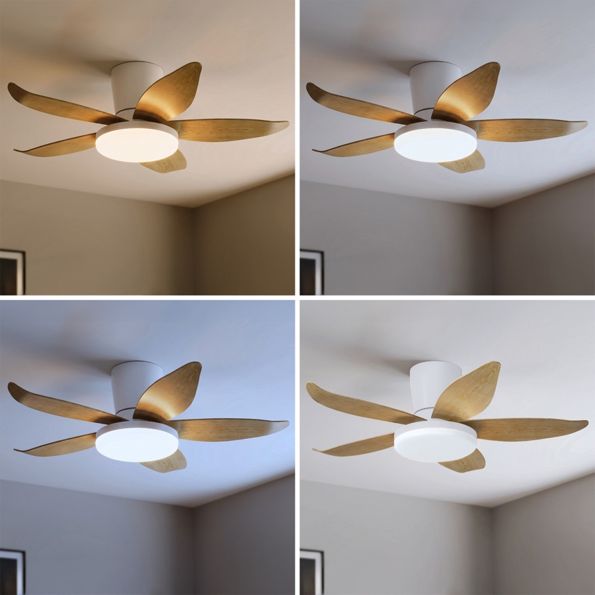 Brilagi - Ventilateur de plafond dimmable LED/32W/230V 3000-6500K Ø 95 cm blanc/marron + télécommande