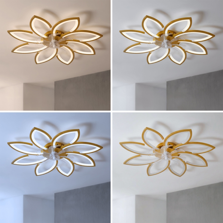 Brilagi - Ventilateur de plafond LED dimmable avec éclairage intégré, 43 W / 230 V, 3000–6500 K, Ø 90 cm, finition dorée + télécommande