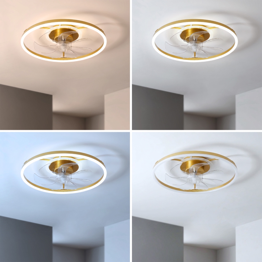 Brilagi - Ventilateur de plafond dimmable LED/66W/230V 55 cm blanc/doré + télécommande