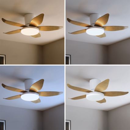 Brilagi - Ventilateur de plafond LED dimmable LED/32W/230V 95 cm blanc/marron + télécommande