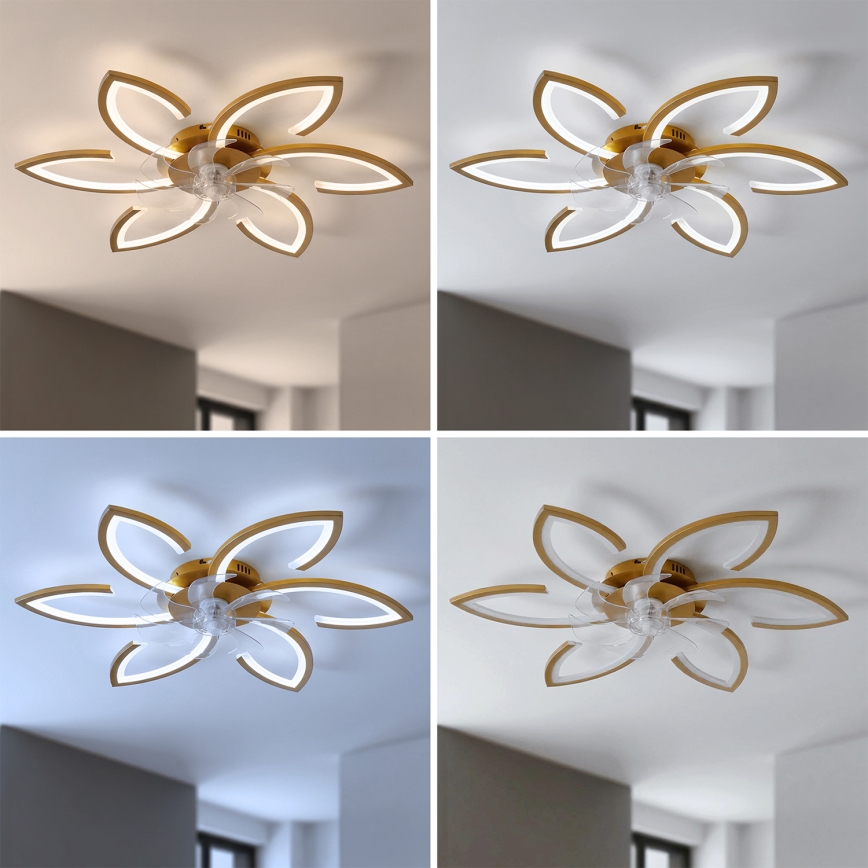 Brilagi - Ventilateur de plafond LED dimmable 34W/230V Ø 78 cm doré + télécommande
