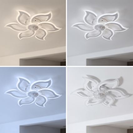Brilagi - Ventilateur de plafond LED à intensité variable LED/34W/230V 3000-6500K Ø 83 cm blanc + télécommande