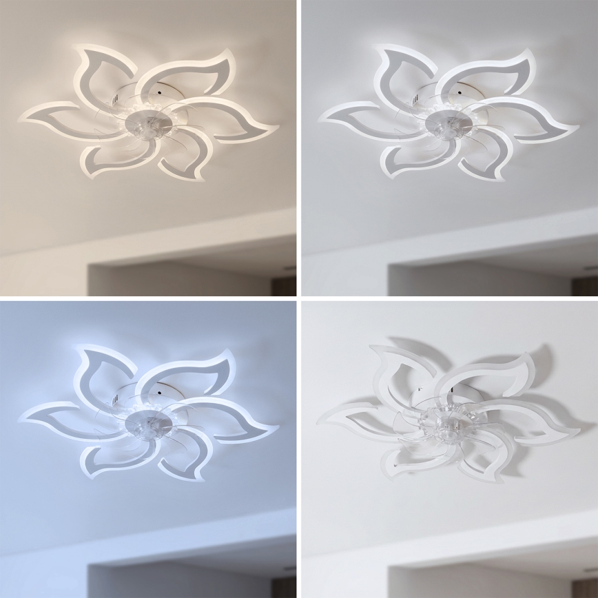 Brilagi - Ventilateur de plafond LED à intensité variable LED/34W/230V 3000-6500K Ø 83 cm blanc + télécommande
