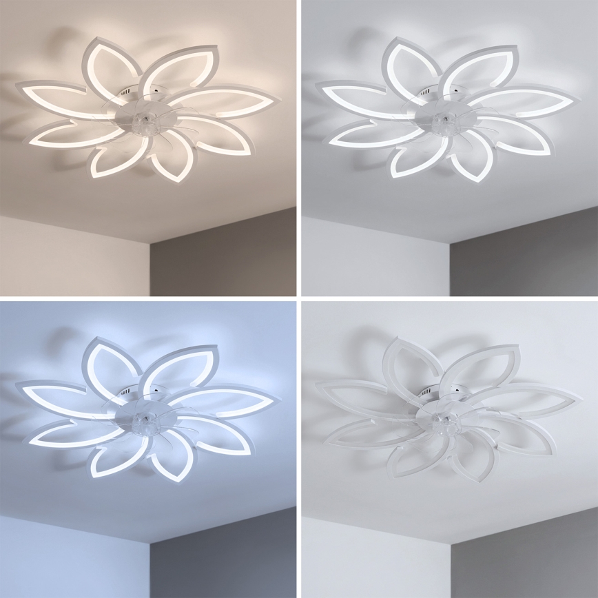 Brilagi - Ventilateur de plafond LED à intensité réglable LED/43W/230V 3000-6500K Ø 90 cm blanc + télécommande