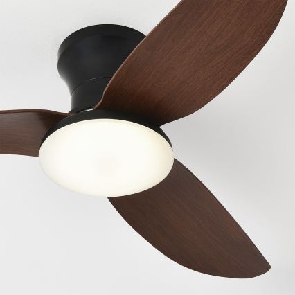 Brilagi - Ventilateur de plafond dimmable à LED 38W/230V 3000-6500K Ø 100 cm noir/marron + télécommande