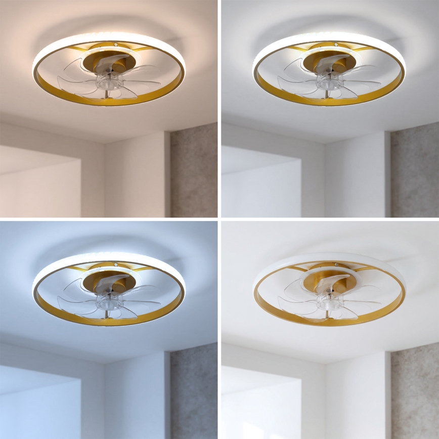 Brilagi - Ventilateur de plafond LED dimmable LED/66W/230V 55 cm blanc/doré + télécommande