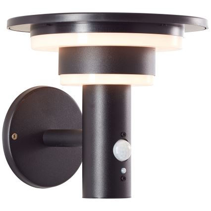Brilliant - Applique murale solaire avec détecteur GARVINA LED/3W/3,7V IP44 noir