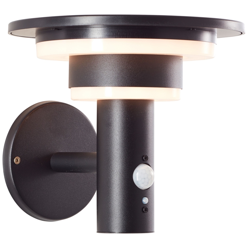 Brilliant - Applique murale solaire avec détecteur GARVINA LED/3W/3,7V IP44 noir