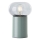 Brilliant - Lampe de table KNUT 1xE27/25W/230V vert/transparent