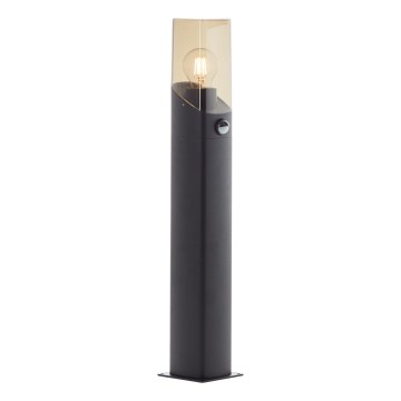 Brilliant - Lampe extérieure avec détecteur MINOU 1xE27/10W/230V IP44 noir/fumé