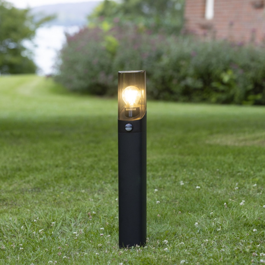 Brilliant - Lampe extérieure avec détecteur MINOU 1xE27/10W/230V IP44 noir/fumé