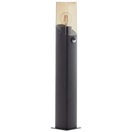 Brilliant - Lampe extérieure avec détecteur MINOU 1xE27/10W/230V IP44 noir/fumé