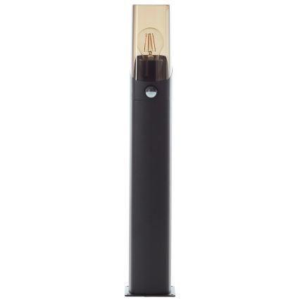 Brilliant - Lampe extérieure avec détecteur MINOU 1xE27/10W/230V IP44 noir/fumé