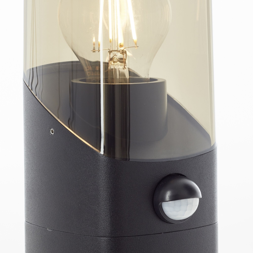 Brilliant - Lampe extérieure avec détecteur MINOU 1xE27/10W/230V IP44 noir/fumé