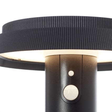 Brilliant - Lampe solaire avec détecteur ALVERO LED/4W/3,7V 70 cm IP44 noir