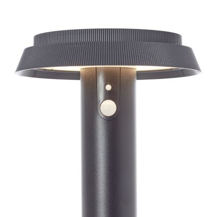Brilliant - Lampe solaire avec détecteur ALVERO LED/4W/3,7V 70 cm IP44 noir